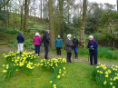 Church holiday at Parcevall Hall April 2019 - a lovely walk enjoying the Spring daffodils 